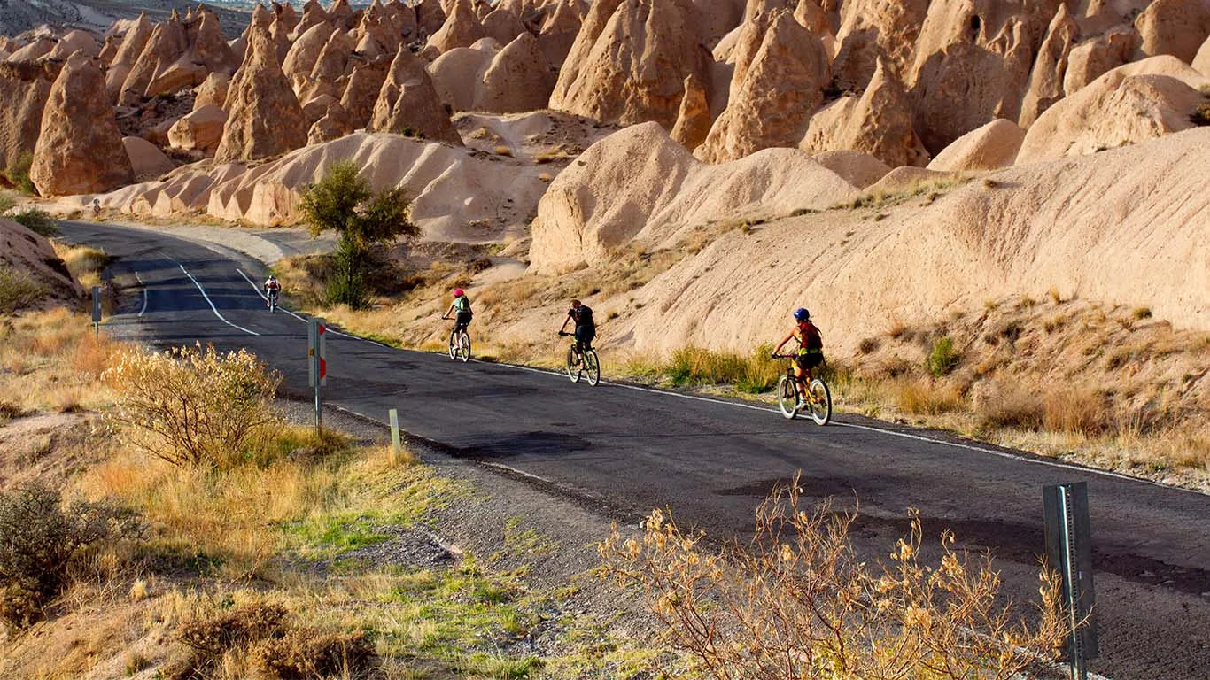 Safe and healthy holidays in the sun